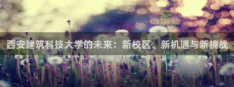 顺盈娱乐招商右原判官333OO