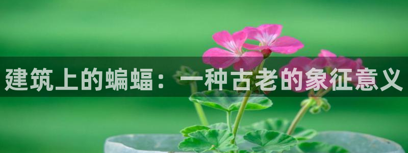 顺盈娱乐痛333OO