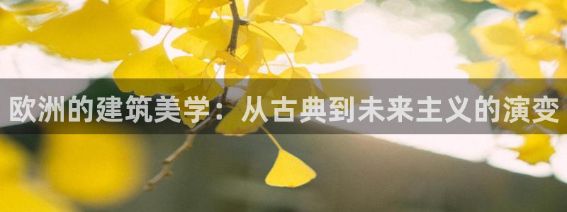 顺盈娱乐下载官网