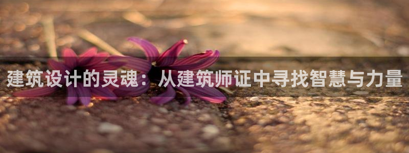 清远顺盈娱乐公司招聘