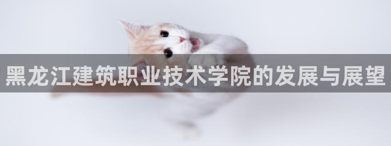 盈顺休闲娱乐室地址