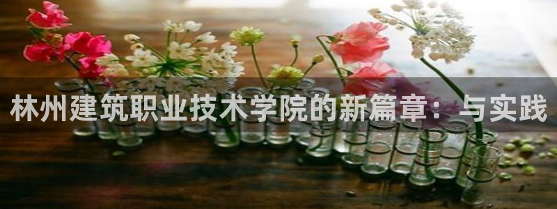 顺盈娱乐在线开户官网