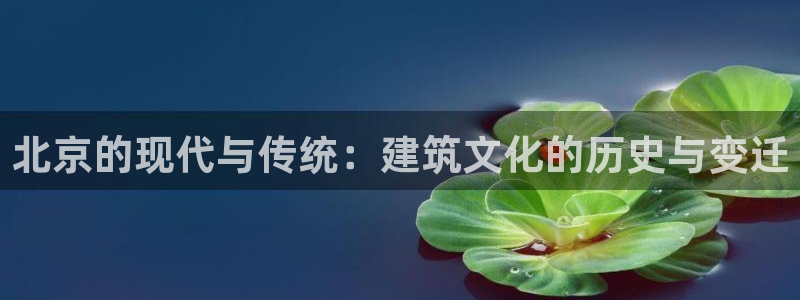 顺盈娱乐代理怎么样了啊