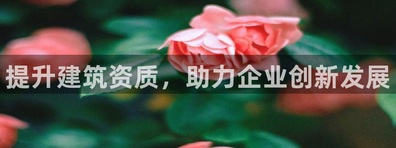 顺盈娱乐平台最新活动