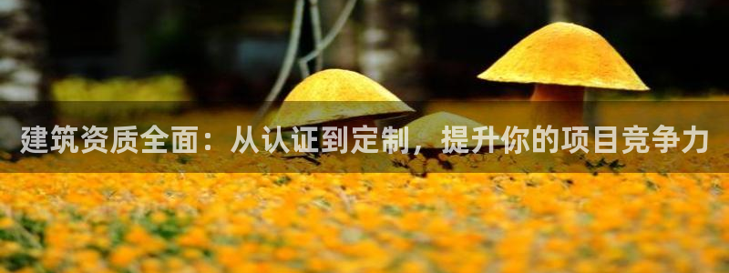 顺盈娱乐滴qv382223