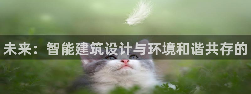 顺盈娱乐最高代理是谁