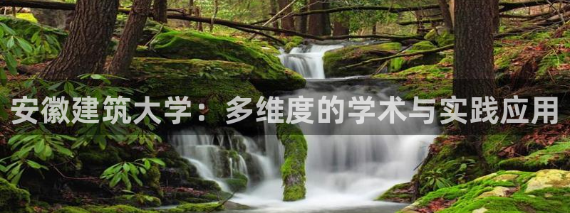 清远顺盈娱乐集团工作