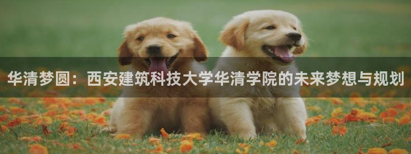 顺盈娱乐主管天原判官333OO