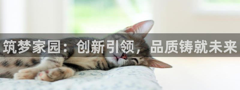 顺盈娱乐下载官网