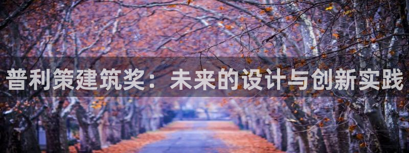 顺盈娱乐招商低判官333OO