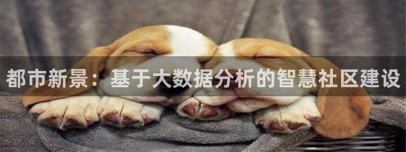 顺盈2娱乐彩票：都市新景：基于大数据分析的智慧社区建设