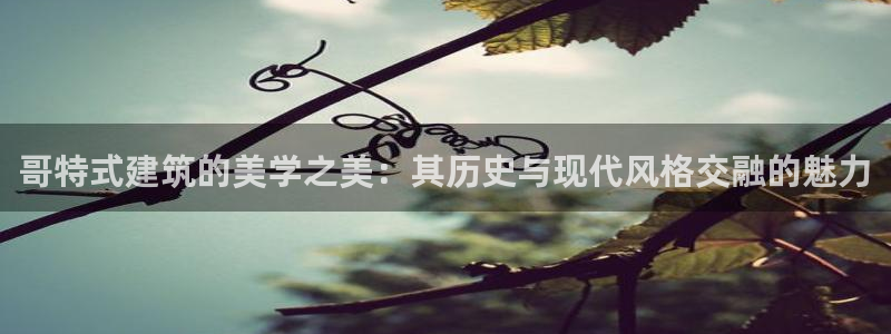 顺盈娱乐平台下载：哥特式建筑的美学之美：其历史与现代风格交融的魅力