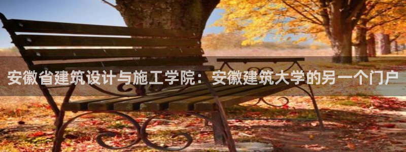 盈顺休闲娱乐室抖音团购：安徽省建筑设计与施工学院：安徽建筑大学的另一个门户