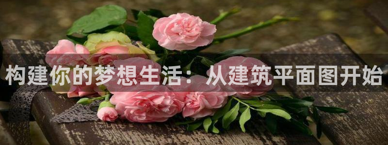 清远顺盈娱乐集团实习