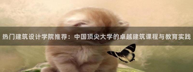 顺盈娱乐棋牌官网