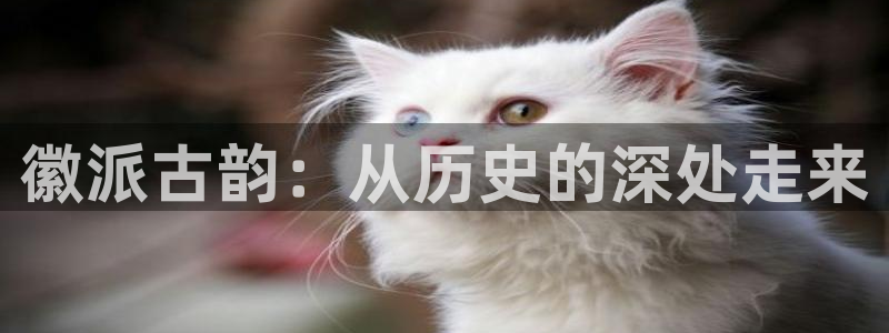 清远顺盈娱乐