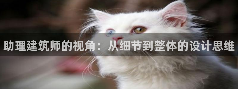 顺盈娱乐怎么样：助理建筑师的视角：从细节到整体的设计思维