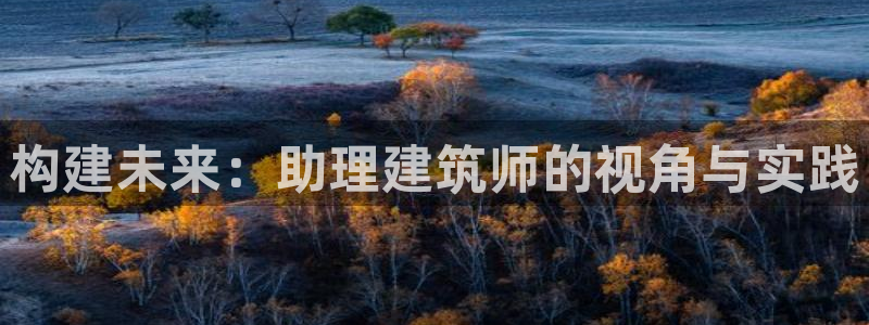 顺盈娱乐保究7276O