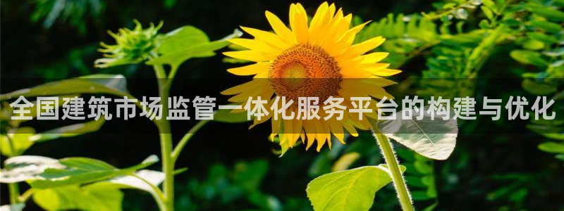 清远顺盈娱乐公司电话