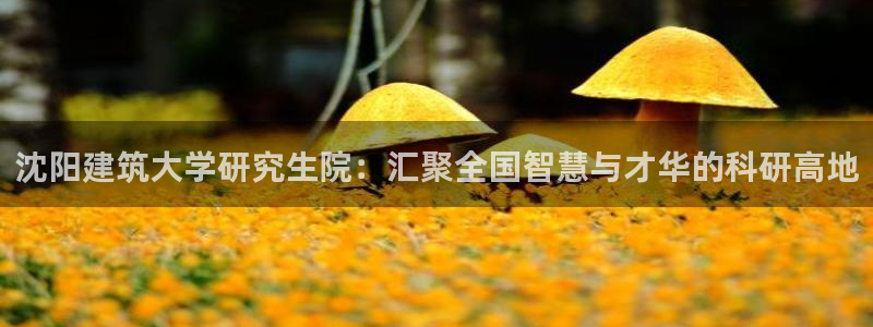 顺盈娱乐登录地址是什么