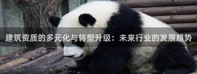 清远顺盈娱乐文案