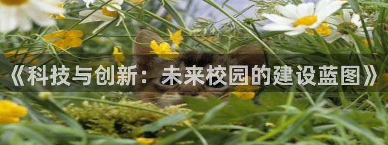 顺盈娱乐总代理是谁