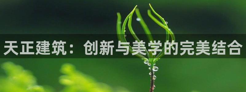 顺盈娱乐队究7276O